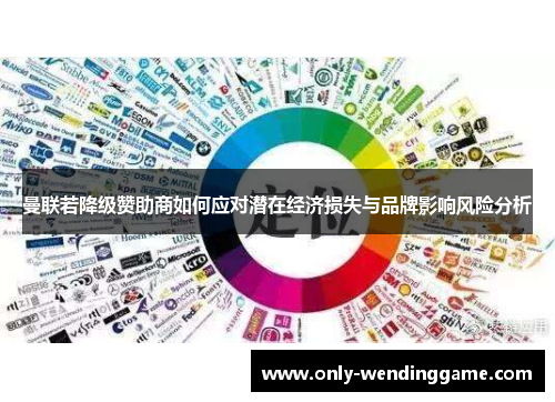 曼联若降级赞助商如何应对潜在经济损失与品牌影响风险分析