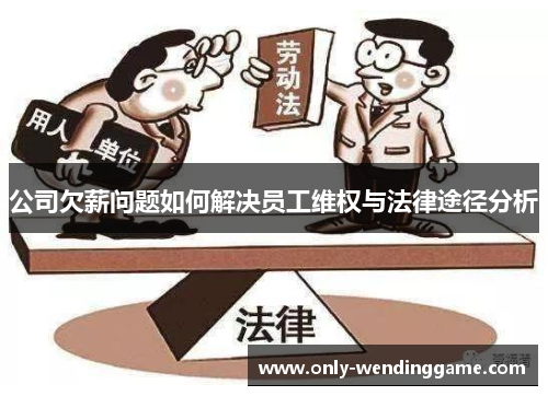 公司欠薪问题如何解决员工维权与法律途径分析