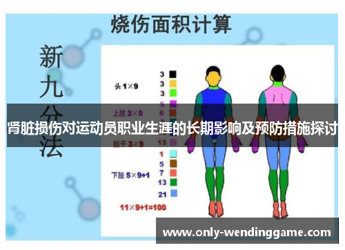 肾脏损伤对运动员职业生涯的长期影响及预防措施探讨