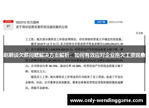 赵鹏谈欠薪问题解决方案解析：如何有效应对企业拖欠工资现象