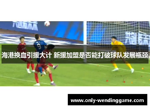海港换血引援大计 新援加盟是否能打破球队发展瓶颈