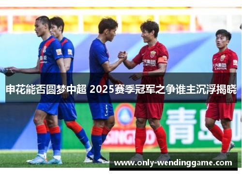 申花能否圆梦中超 2025赛季冠军之争谁主沉浮揭晓