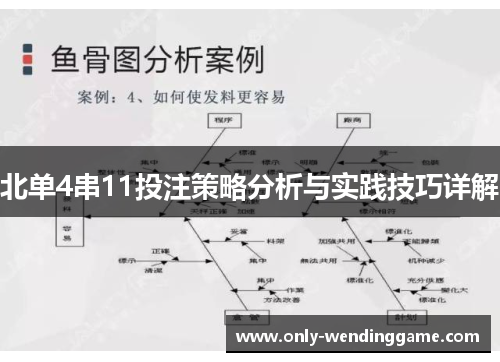 北单4串11投注策略分析与实践技巧详解