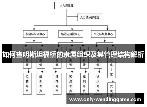 如何查明斯坦福桥的隶属组织及其管理结构解析