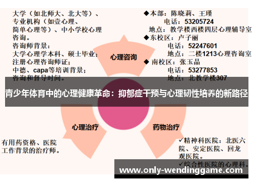 青少年体育中的心理健康革命：抑郁症干预与心理韧性培养的新路径