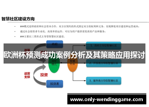 欧洲杯预测成功案例分析及其策略应用探讨