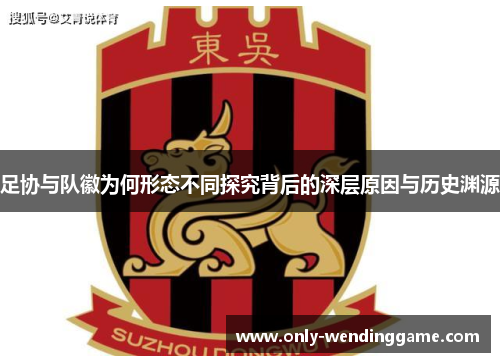 足协与队徽为何形态不同探究背后的深层原因与历史渊源