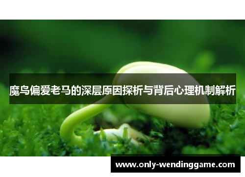 魔鸟偏爱老马的深层原因探析与背后心理机制解析