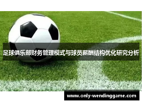 足球俱乐部财务管理模式与球员薪酬结构优化研究分析 足球俱乐部财务管理模式与球员薪酬结构优化研究分析