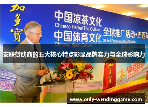 安联赞助商的五大核心特点彰显品牌实力与全球影响力