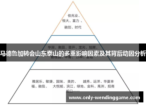 马德鲁加转会山东泰山的多重影响因素及其背后动因分析