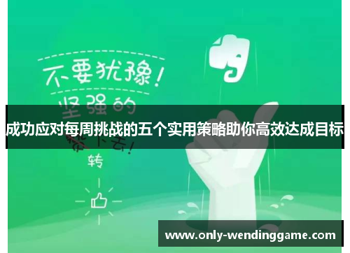 成功应对每周挑战的五个实用策略助你高效达成目标